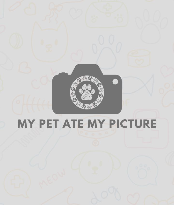 Ramon Mendez-Morales