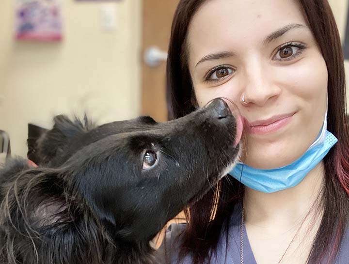 USDA Accredited Veterinarian